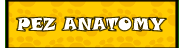 PEZ Anatomy!